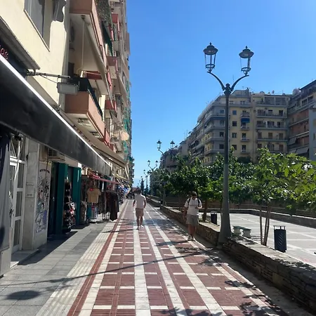 Navarino